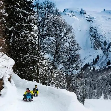 Apartament Sleeps 6 Wifi Engelberg